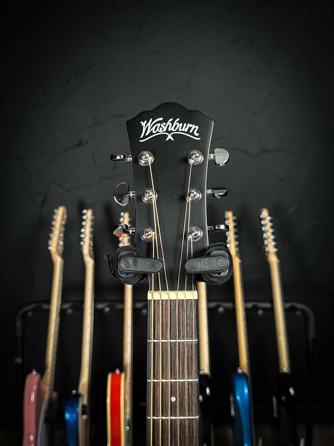 washburnebony-5.jpg
