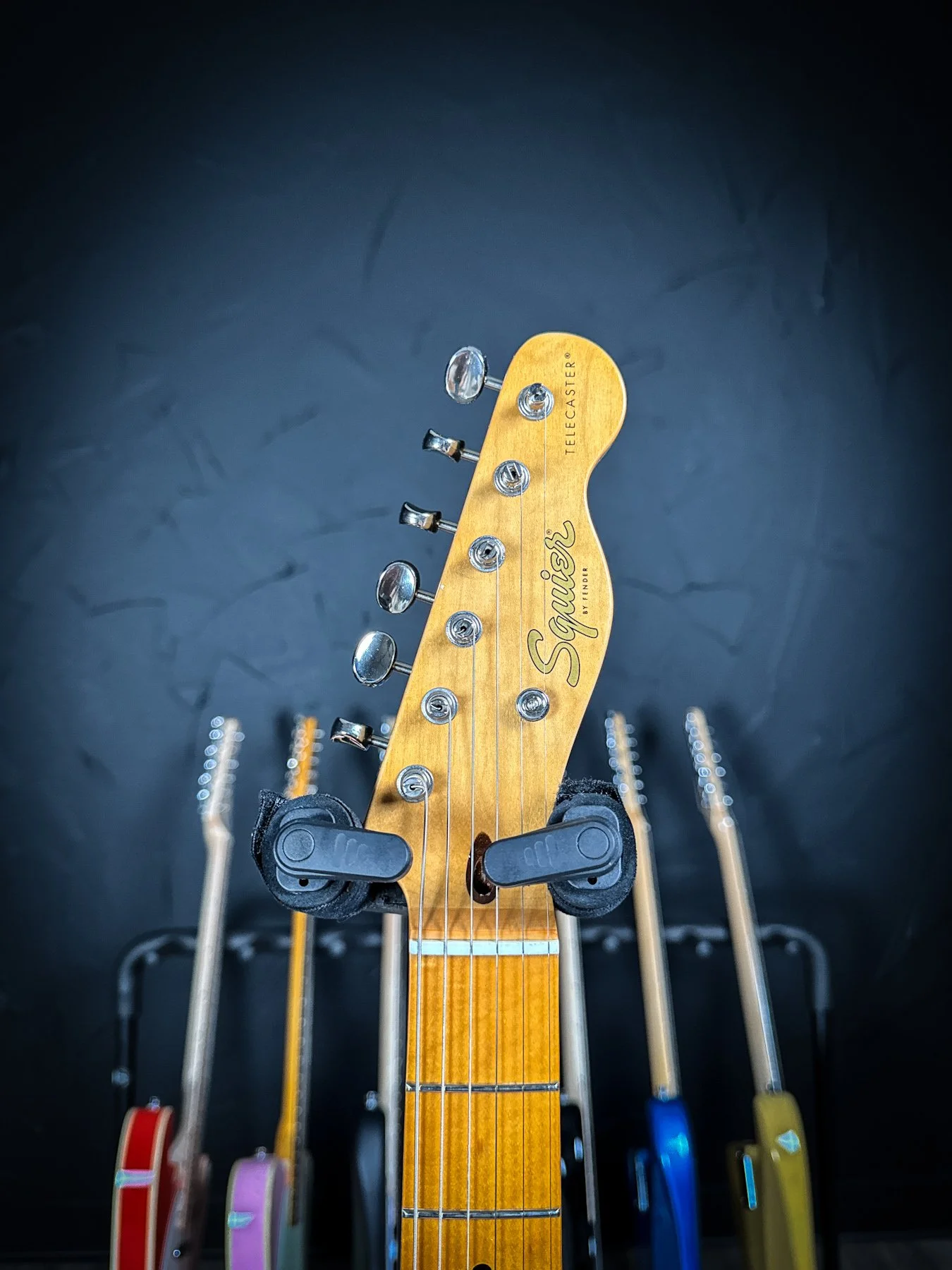 squier-11.jpg