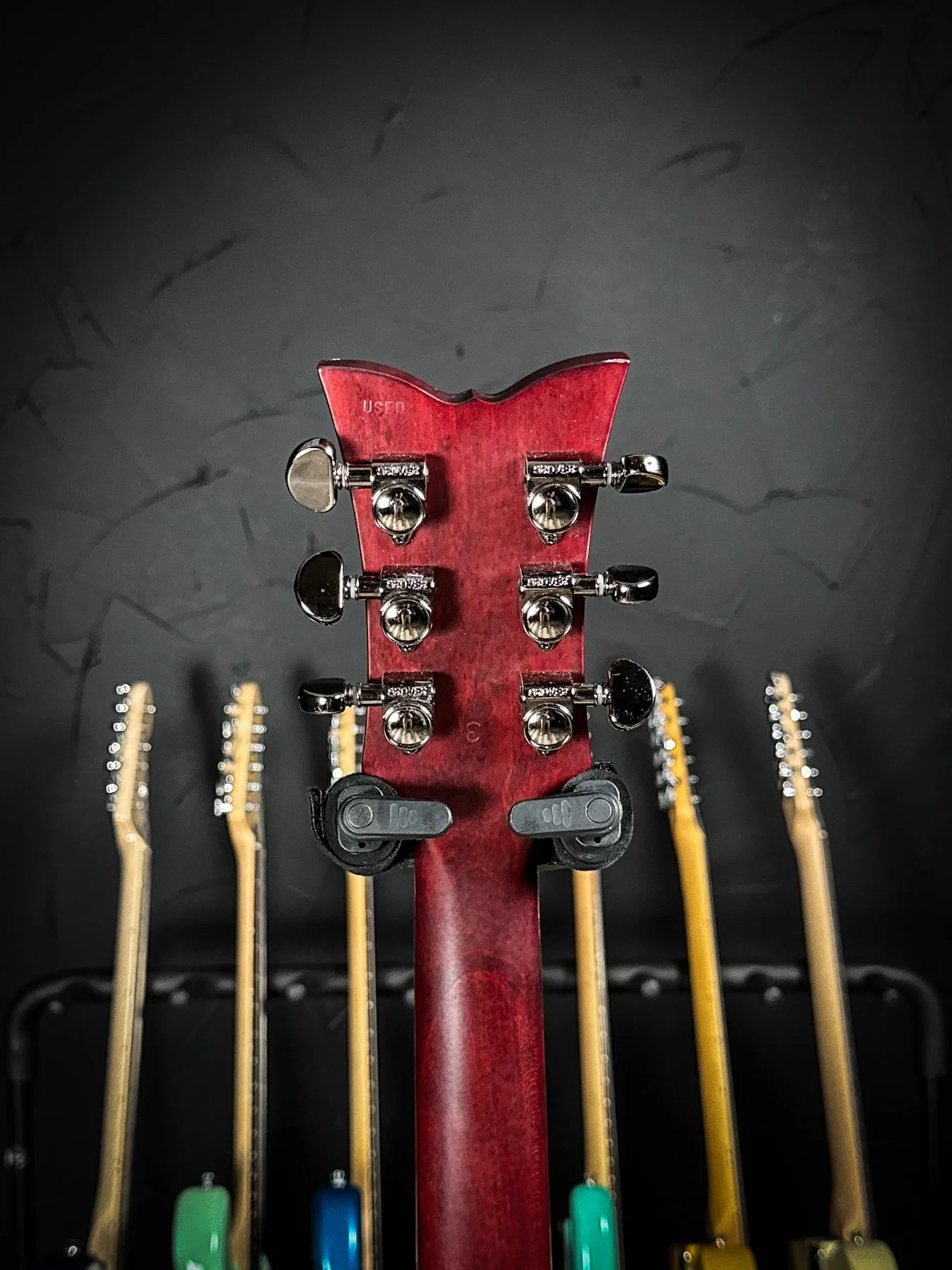 schecter-06.jpg