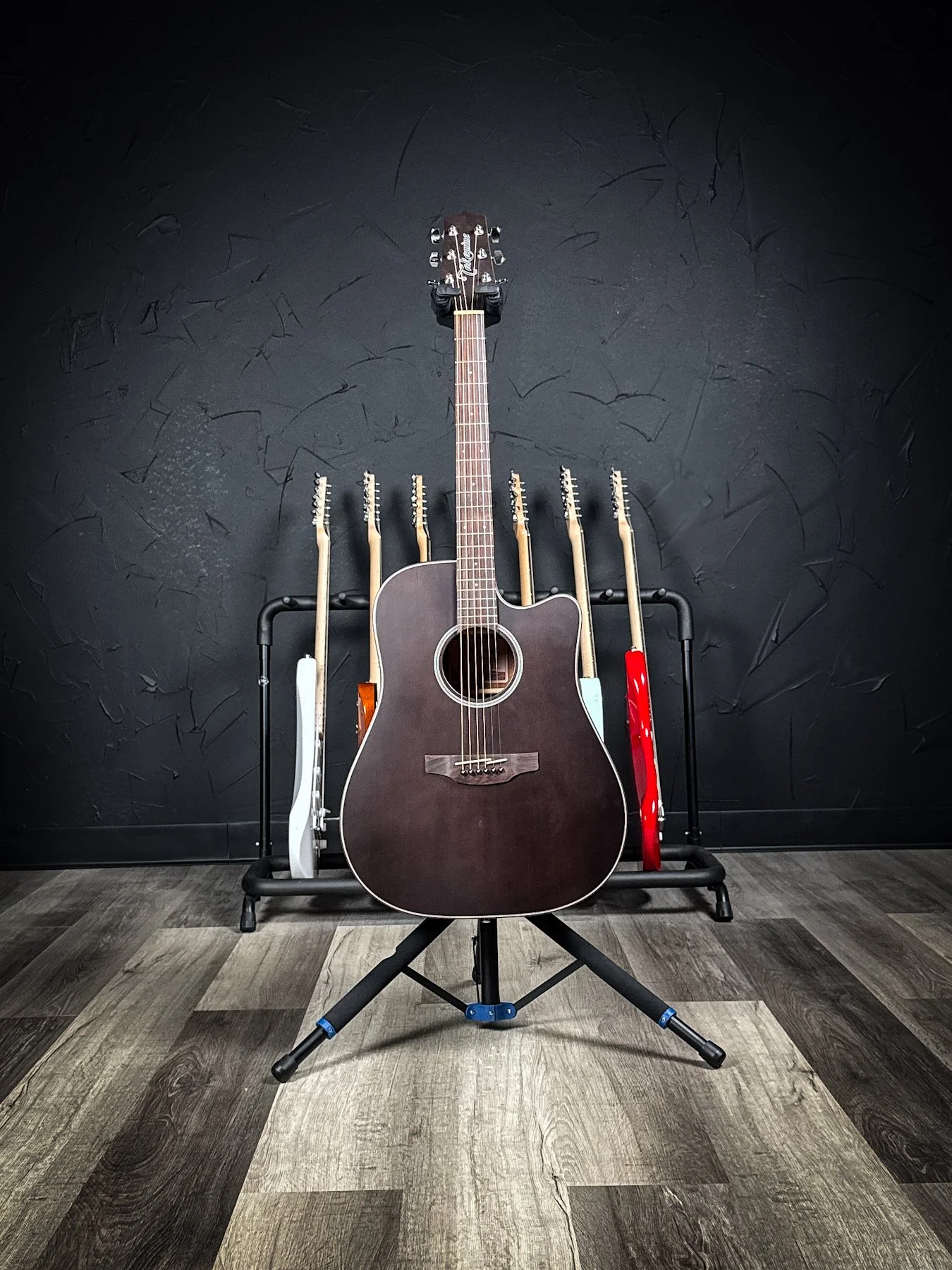 takamine-9.jpg