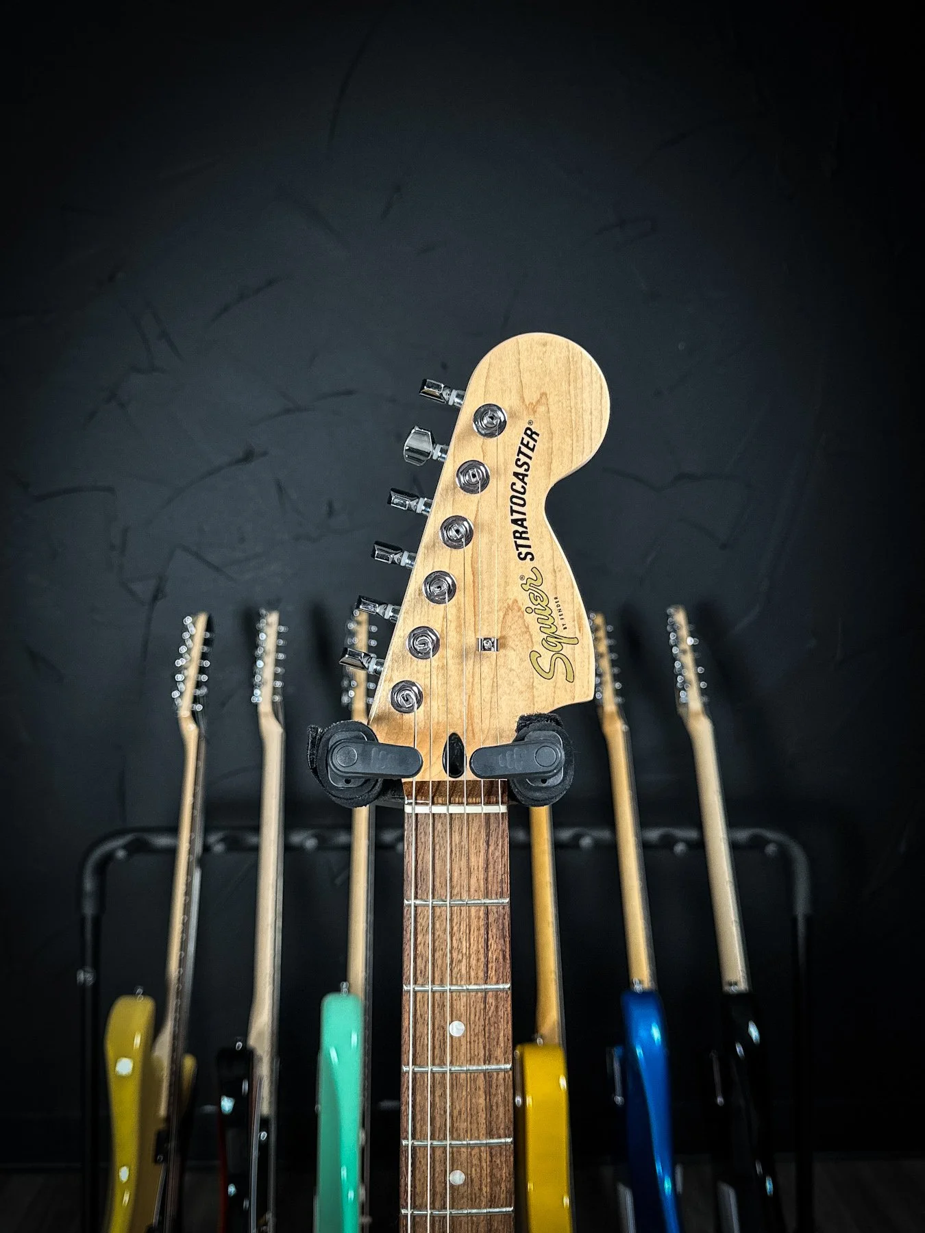 squier-5 2.jpg