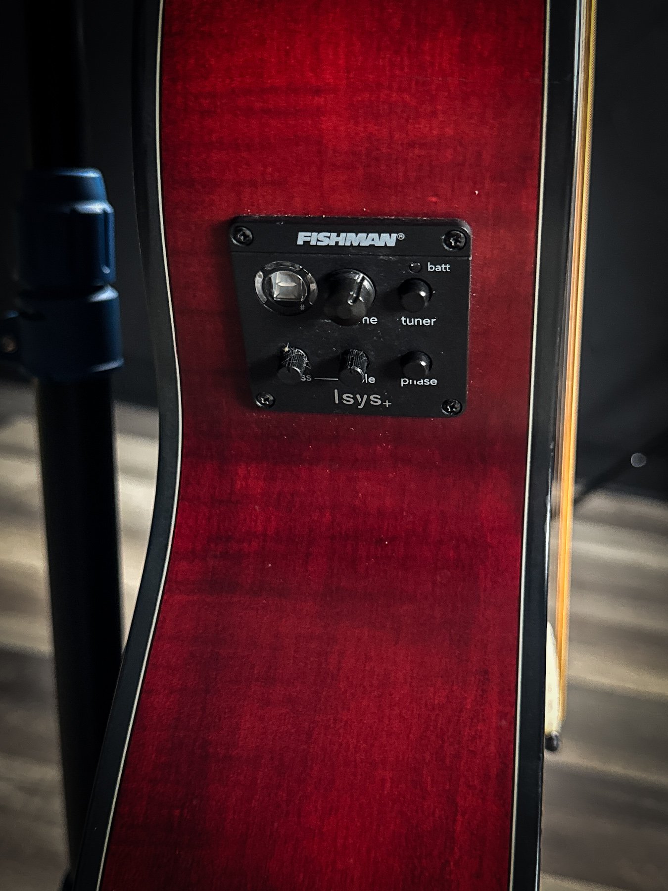 schecter-08.jpg