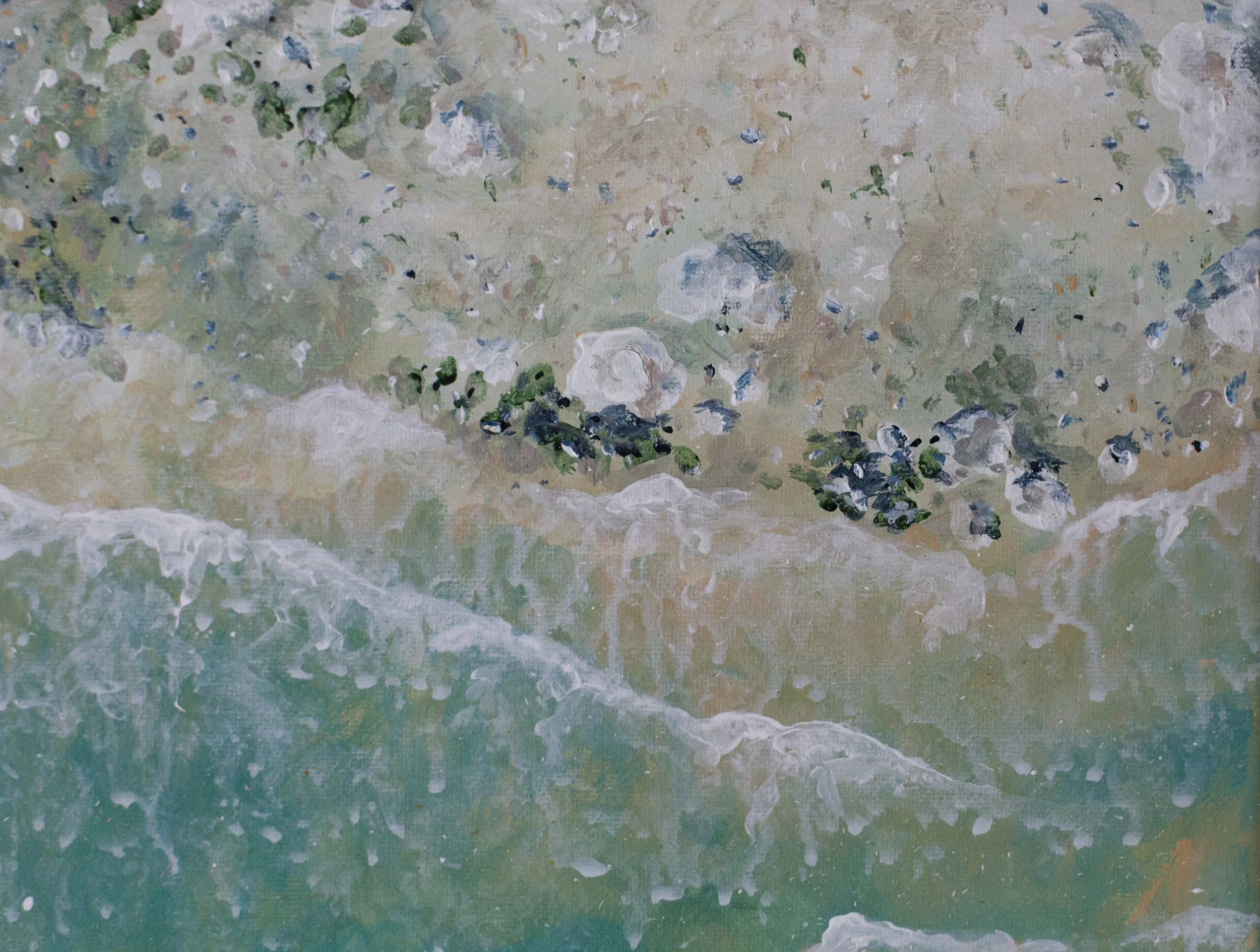 soft shores_2.JPG