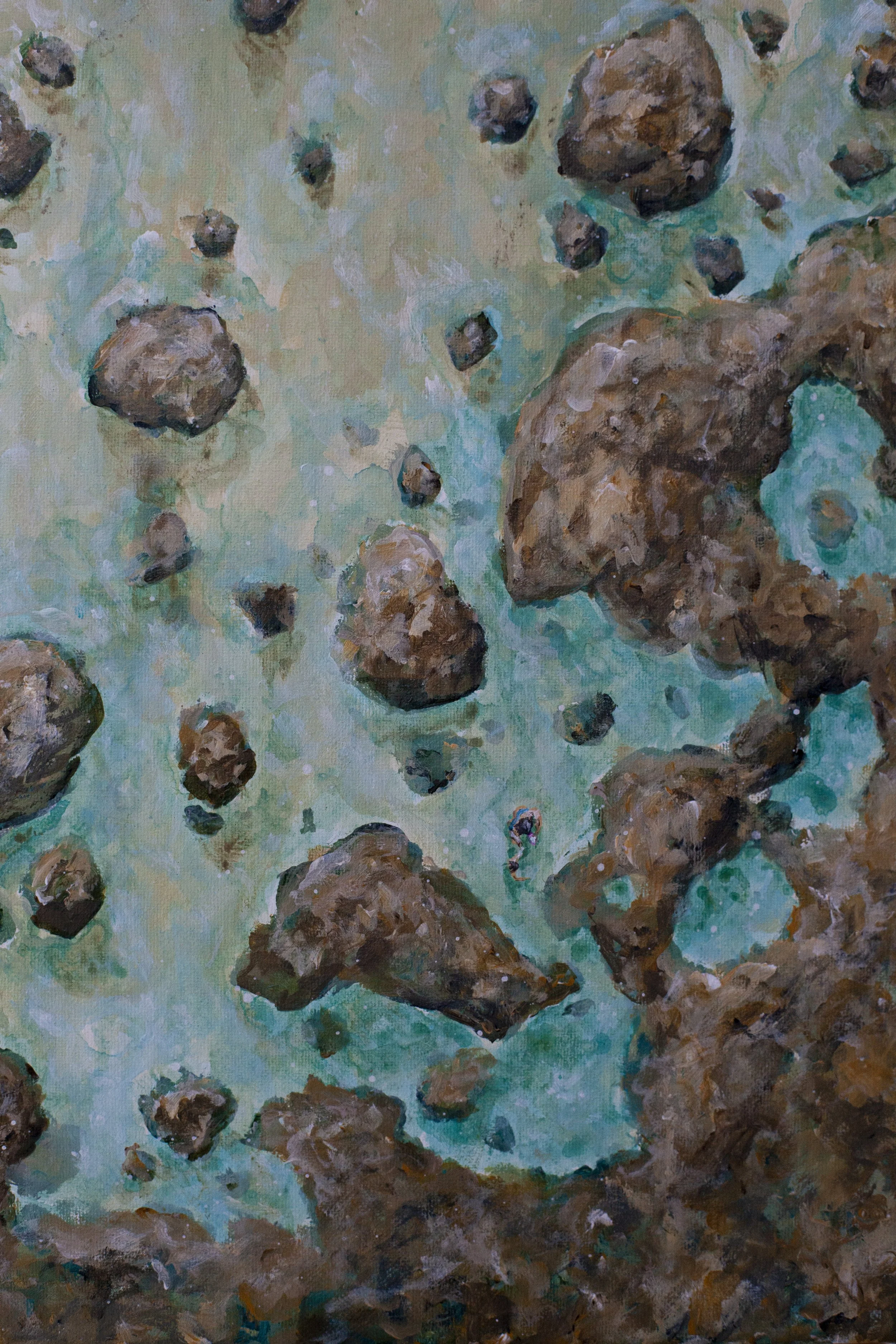 Rock pooling_4.JPG