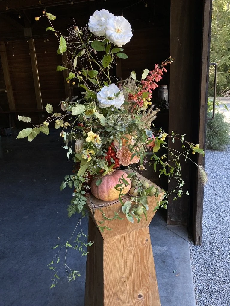 Autumn Arrangements with Flower Shepherd