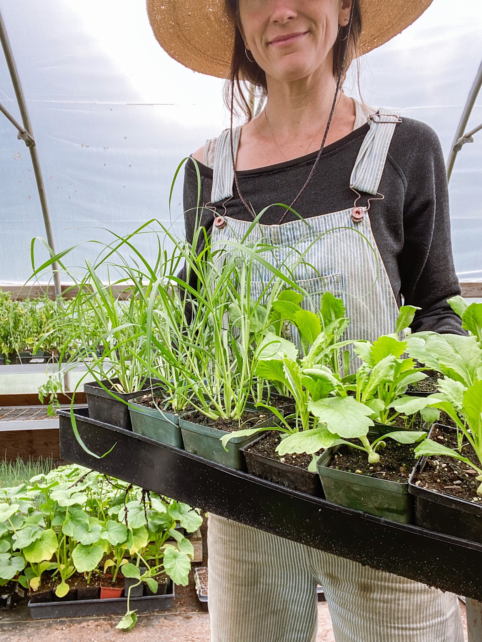 Spring Planting & Early Crops