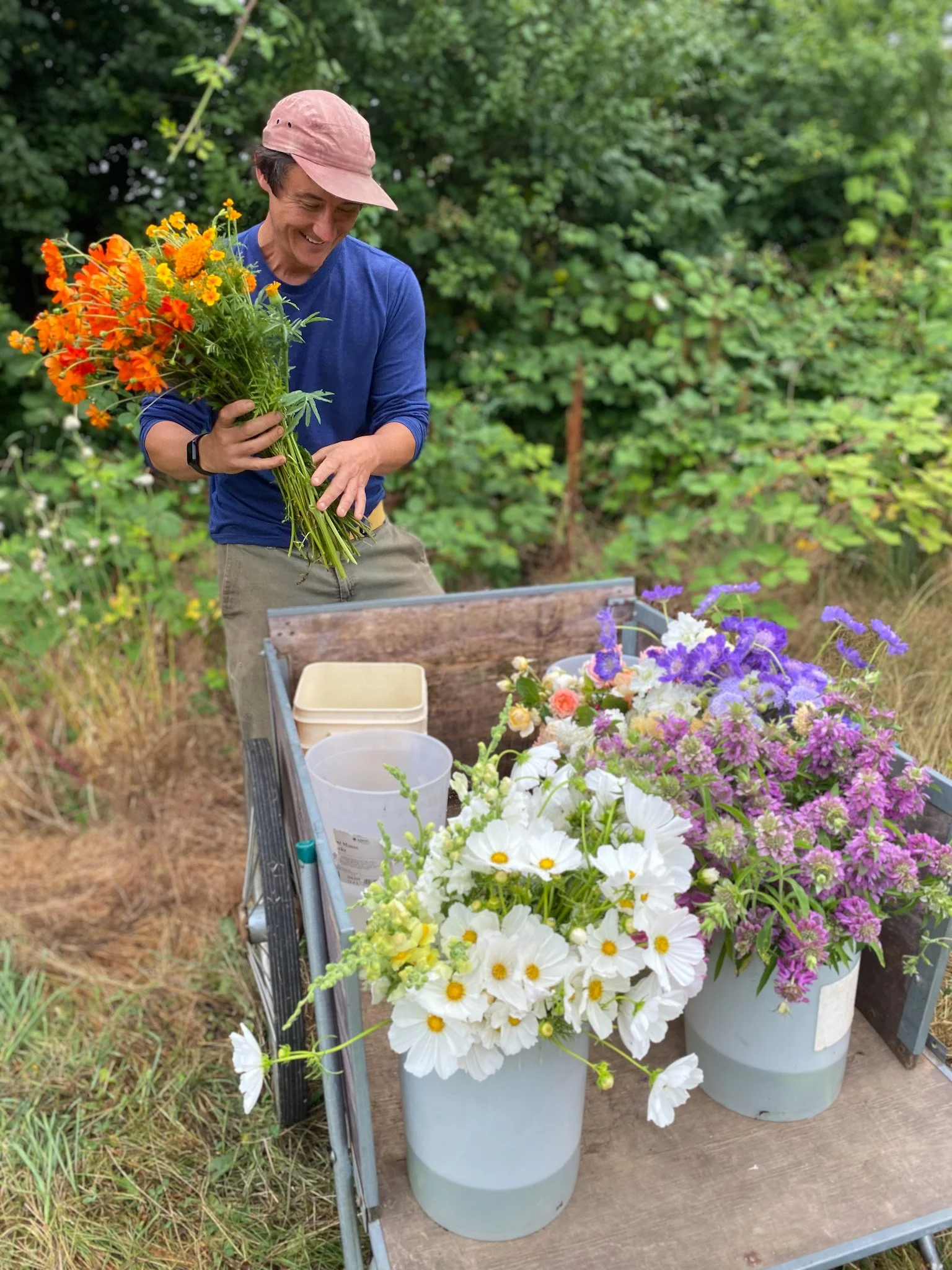 Summer Harvest & Flower Care