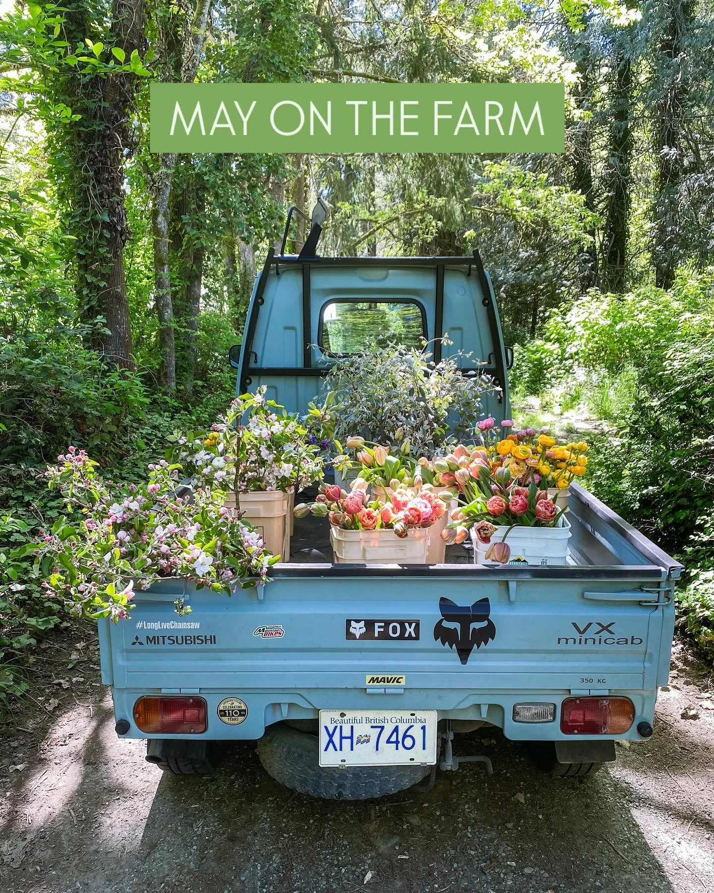 Coming up this month 💛 

See the full calendar and book your workshops: lostfieldfarm.com/flower-school, link in profile