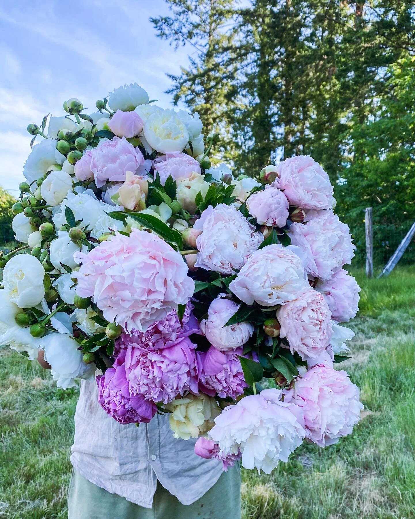 It&rsquo;s Peony Party day! We&rsquo;re inventing what a Peony Party is, but there will be ample flowers, creative arranging, golden hour harvesting, plus Zack&rsquo;s making drinks. ✨💕 

A couple last minute spots available - tonight, 5-7pm, $115
L