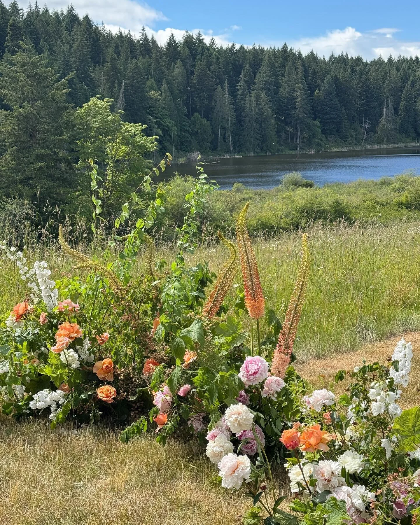 Glimpses from a very happy weekend for Sara and Brandon. The sun came out, flowers were spring-lush, and there were cozy fires all evening. If you&rsquo;ve been thinking about a June wedding, this is your sign. 💛

Sara and Brandon, we adore you and 