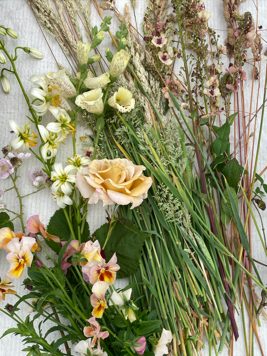 Colour Study - Seasonal Flower Palettes
