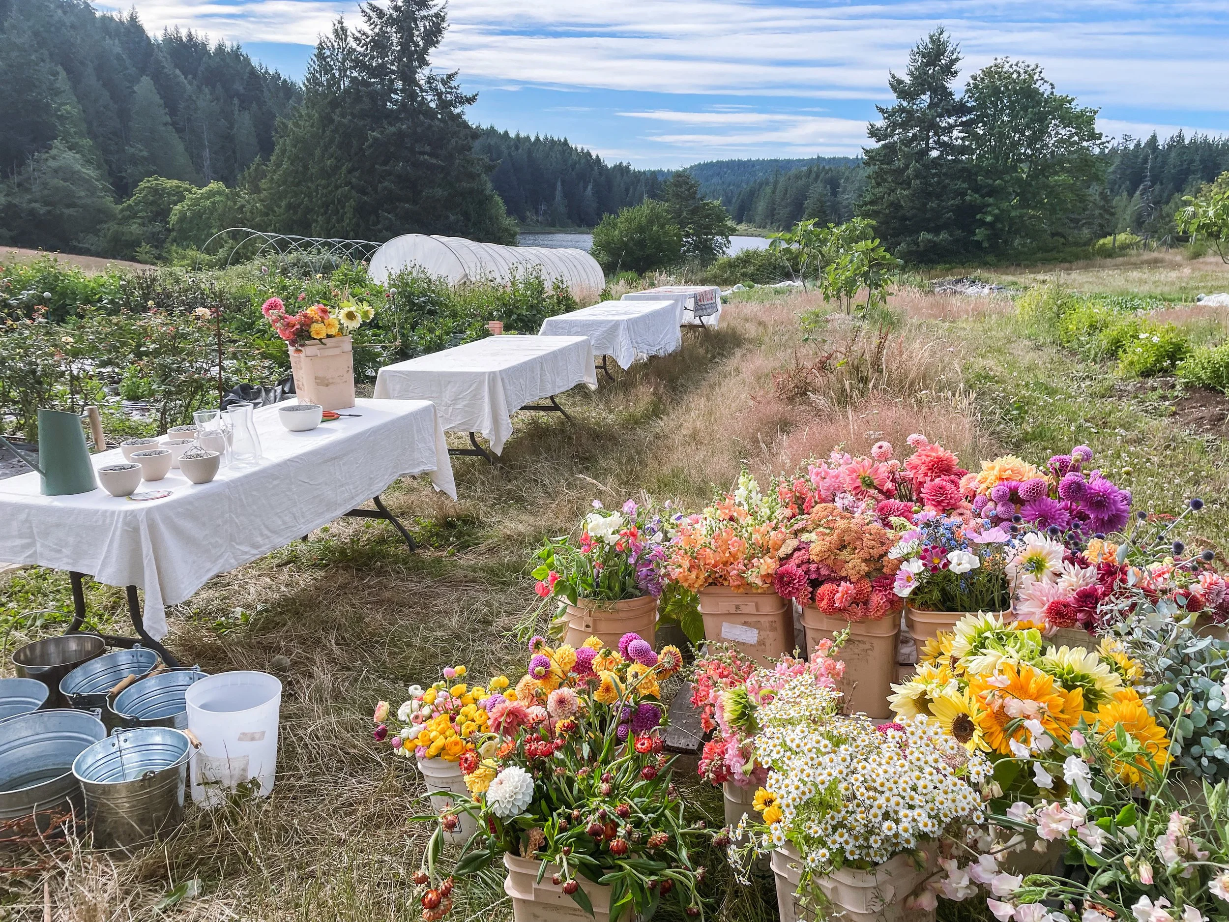 Garden to Vase