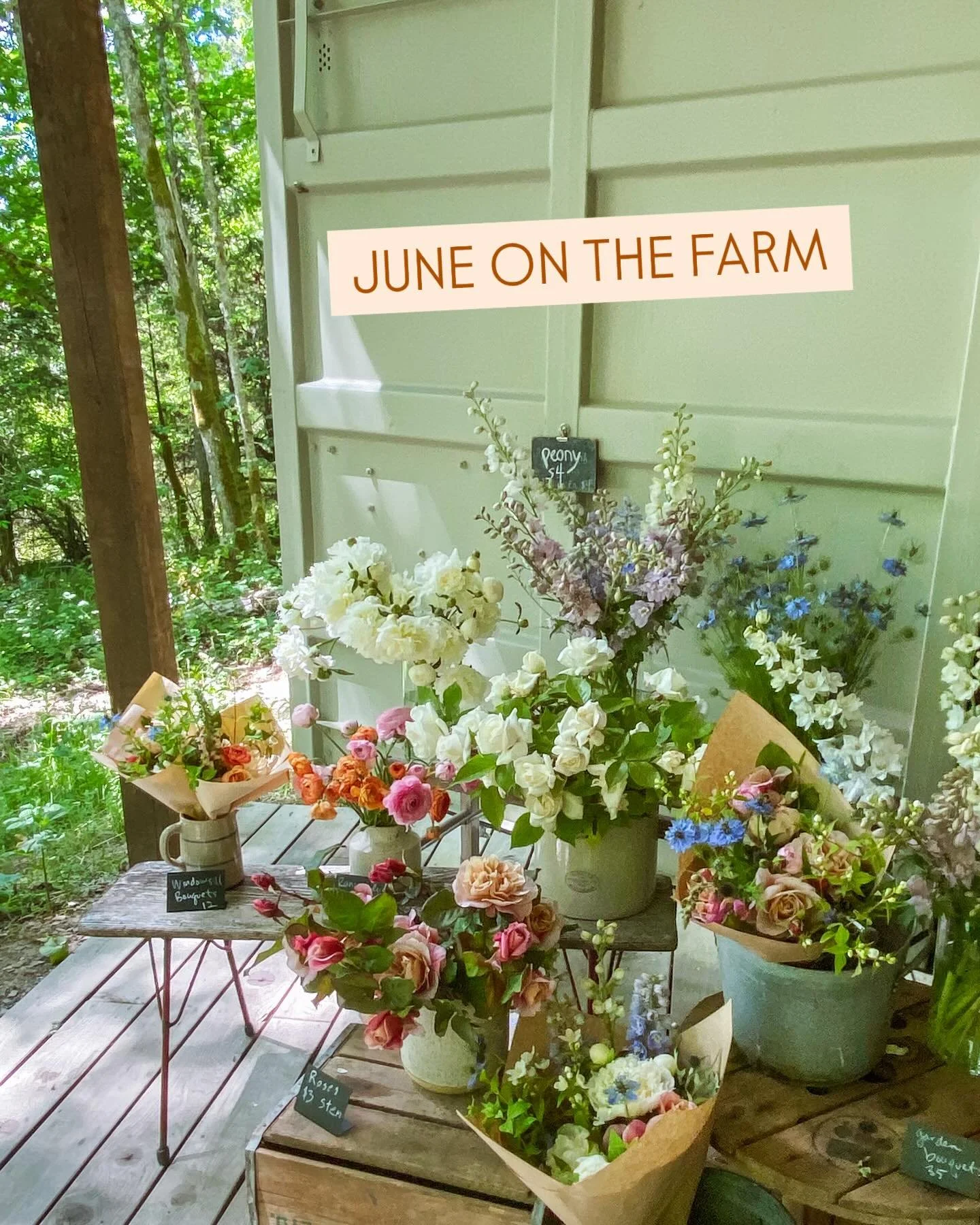Lots happening this month, including 2 workshops this very week. Sign up for flower classes through link in profile and come by the stand Fridays and Saturdays. Hope to see you soon xx 🍓