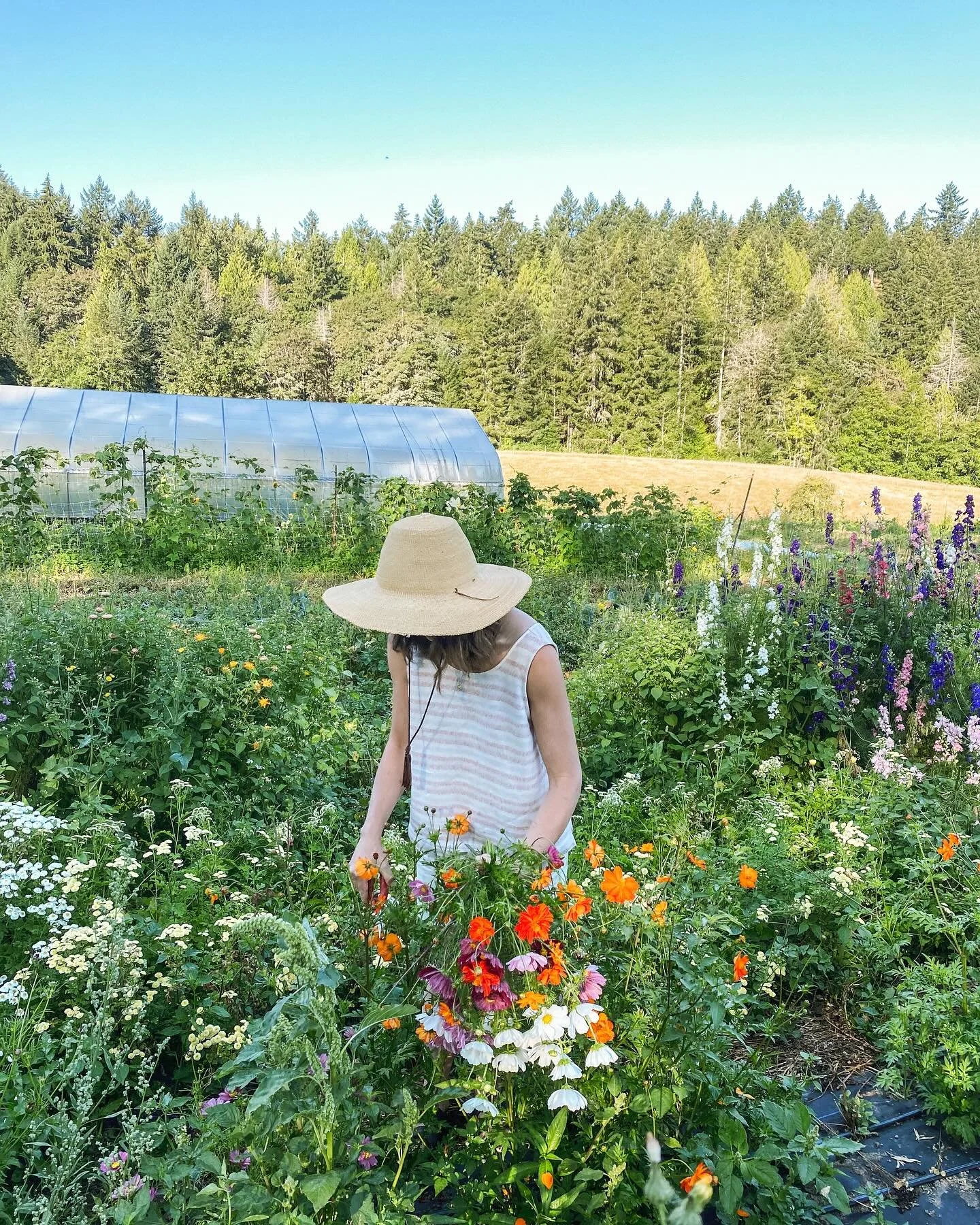 Field Workshops, what are they? These flower classes happen right in the garden when the light is best. We explore, follow our eye, harvest things we love, then create right there in the field. They&rsquo;re simple, ever-changing with the seasons, an
