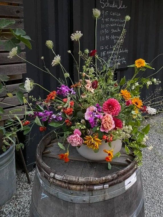 Late Summer Harvest