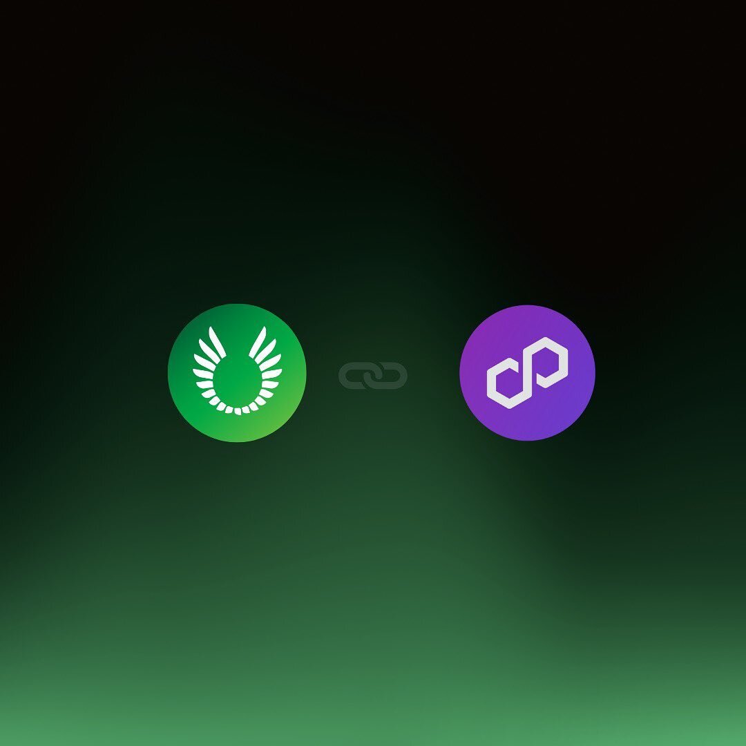 Continue to build in the bear! Excited to be working with @0xpolygon to drive our fiat-enabled, white-label, and low gas fee tools for crowdsourcing. #polygon #web3 #music #creatives