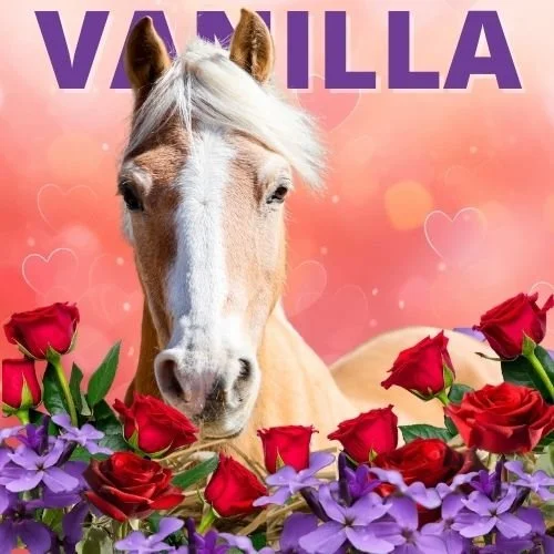 BUY A BALE: VANILLA