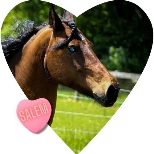 BUY A BALE: SALEM