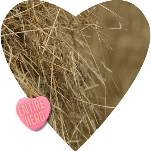 BUY A BALE: FEED THE ENTIRE HERD