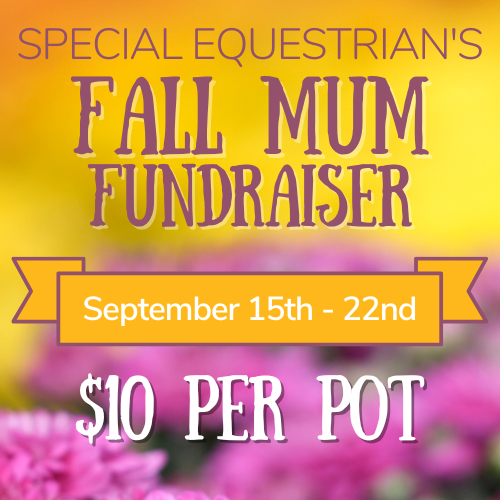2025 Fall Mum Fundraiser