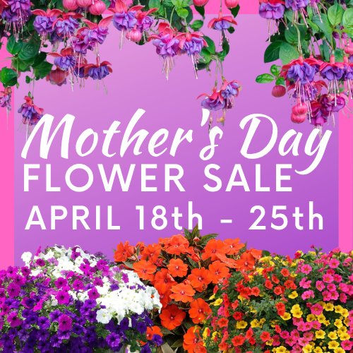 Mother's Day Flower Sale