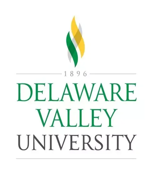 delval.webp
