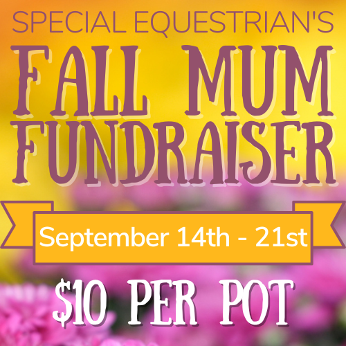 2026 Fall Mum Fundraiser