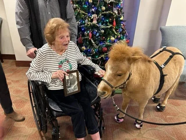 senior living 1.jpg