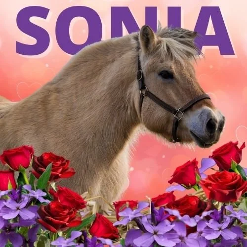 BUY A BALE: SONJA