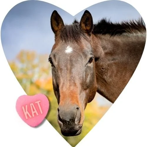 BUY A BALE: KAT