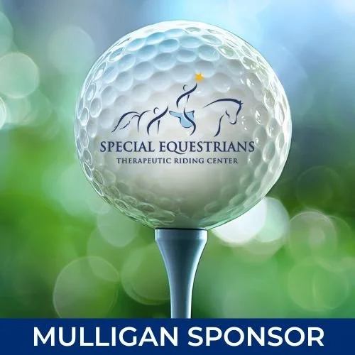 Mulligan Sponsor