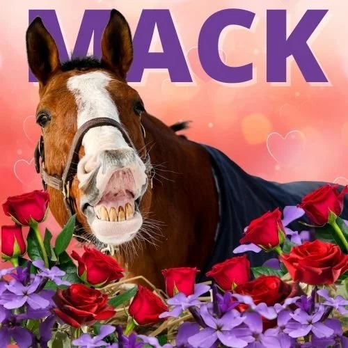 BUY A BALE: MACK