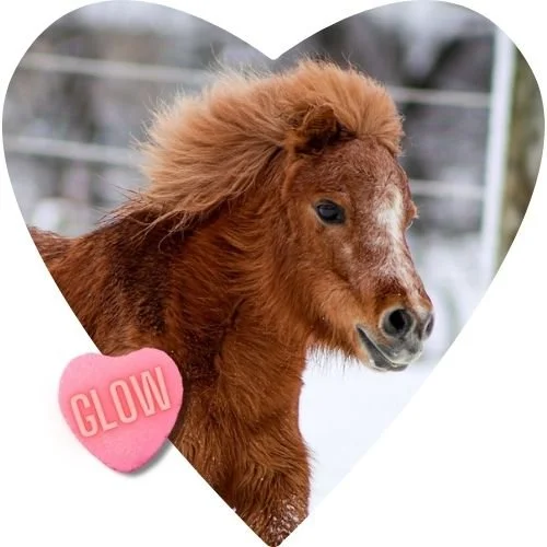 BUY A BALE: GLOW
