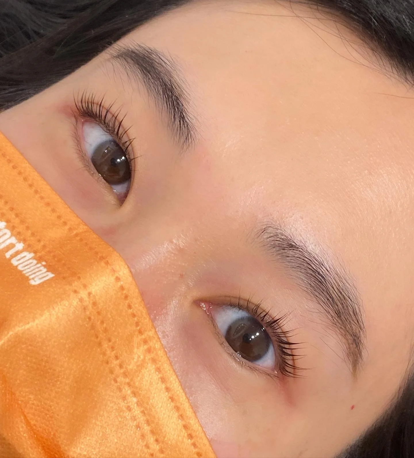 lash lift 