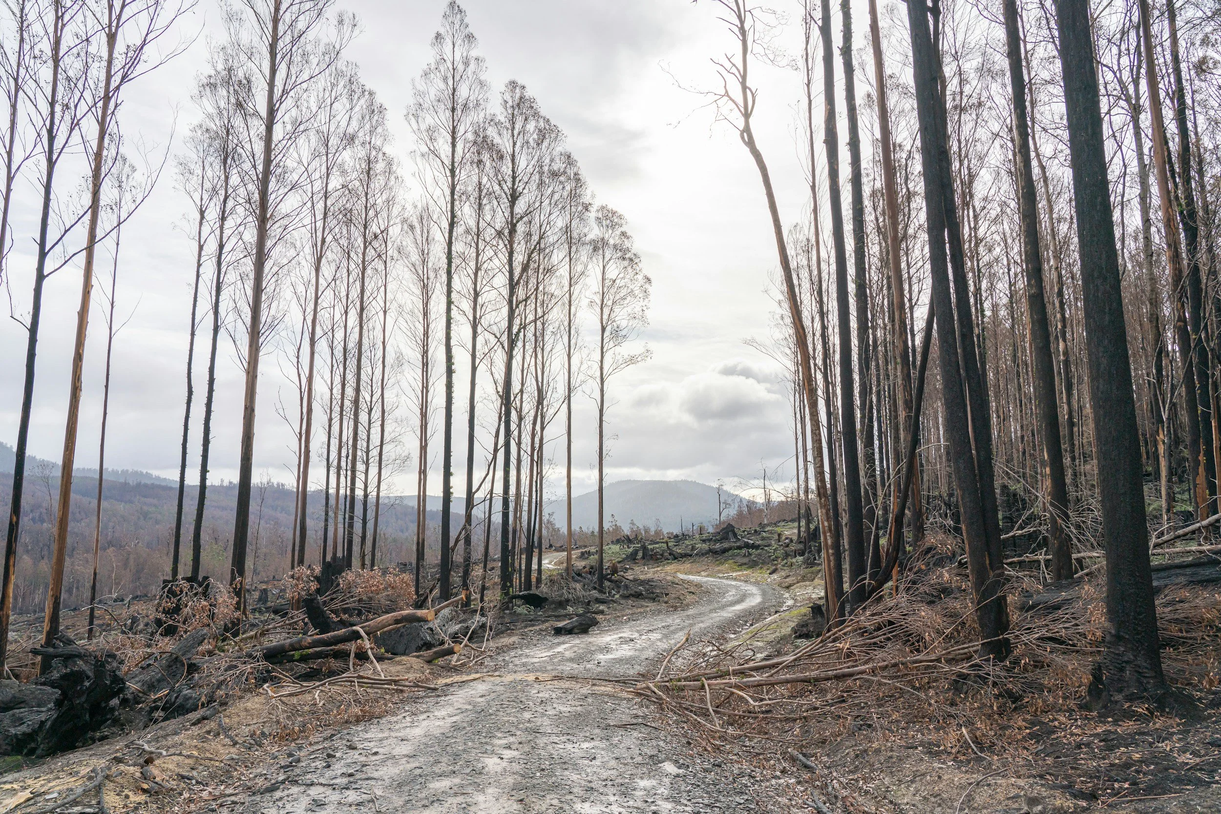 What is living loss and why is it important to recognise it?