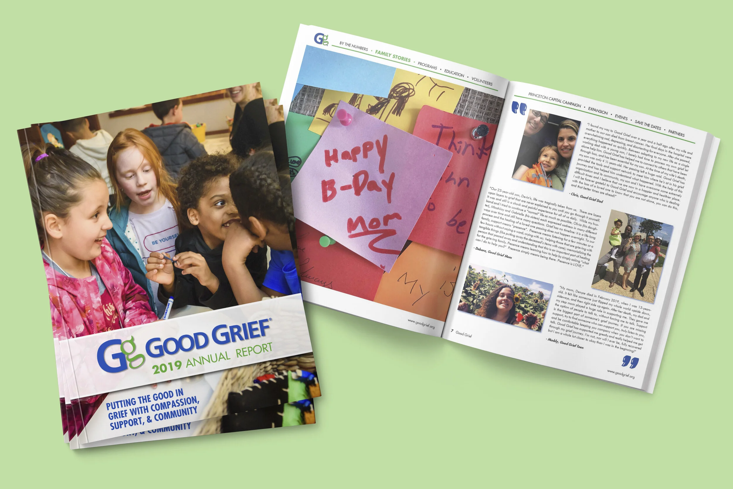 GG Annual Report_Cover and Spread.jpg