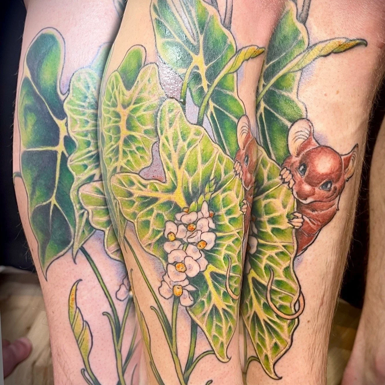 Untitled_Artwork 1.jpg