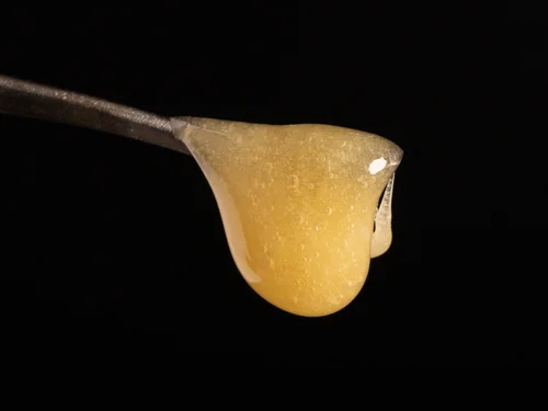 Our Hash — Find Us