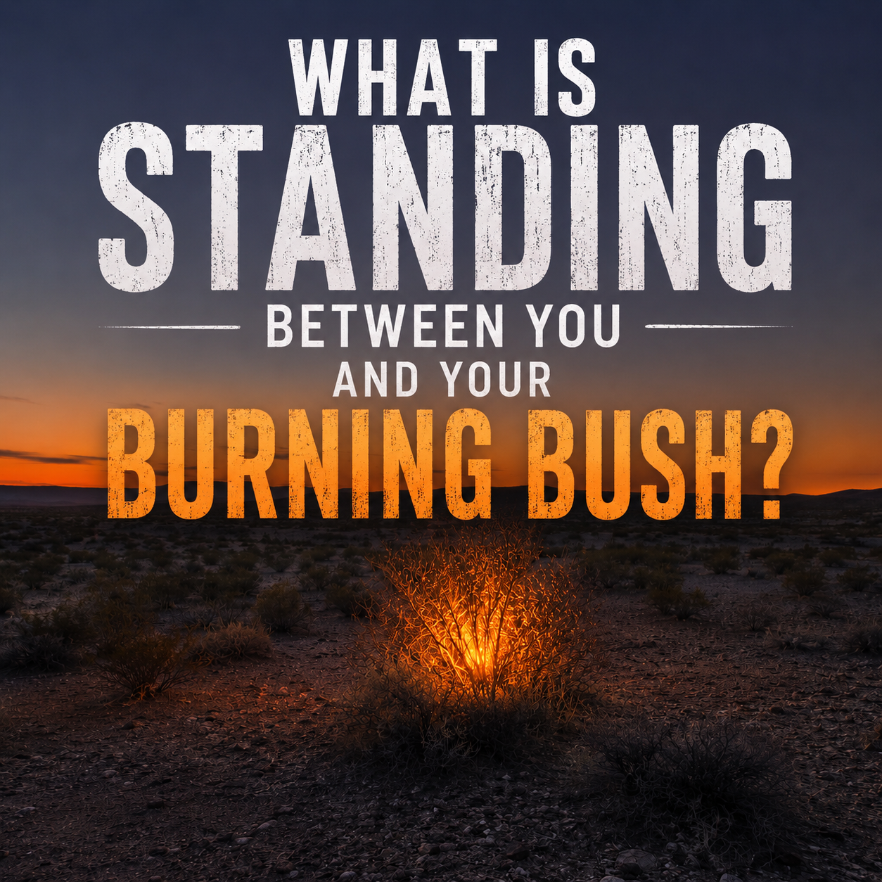 What is Standing Between you and your Burning Bush?