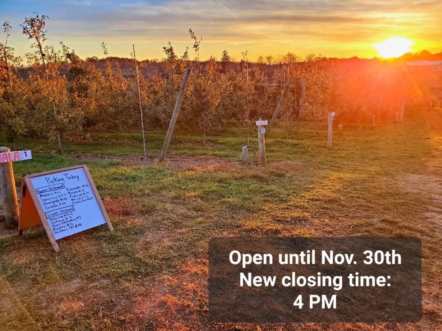 The trees are mostly bare this time of year, but there are still some apples hanging around.&nbsp; Before the sun sets on the orchard for the season, we are running an end of the season gleaning sale for whoever wants to walk up to the orchard and pi