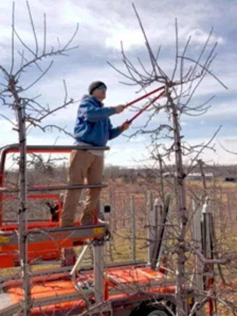 What if you could prune 4,000 trees in half the time? 

We&rsquo;ve made up a lot of lost pruning time&nbsp; thanks to some great friends in the industry. 

Steve and Ingrid McMenamin @greenwich_versailles_farm were kind enough to lend us their Revo 