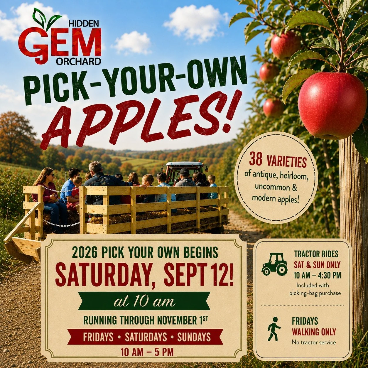 Pick-Your-Own Apples return to Hidden Gem Orchard

Beginning Saturday, September 12, spend a day with us in the orchard and pick apples right from the trees. We offer 38 antique, heirloom, uncommon and modern apple varieties, giving you the chance to