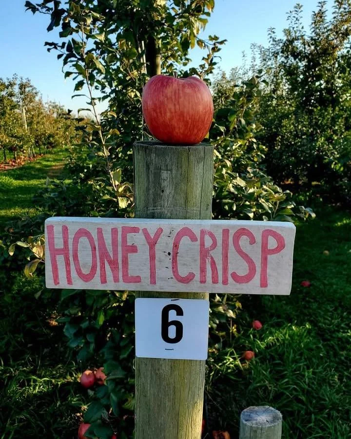 PICK YOUR OWN is OPEN! 

🚨NEW APPLE ALERT: Triumph 🚨

A crisp, juicy apple with a bright, well-balanced sweet-tart flavor. Triumph has excellent crunch and holds its texture well, making it great for **fresh eating, baking, and cider**. It&rsquo;s 