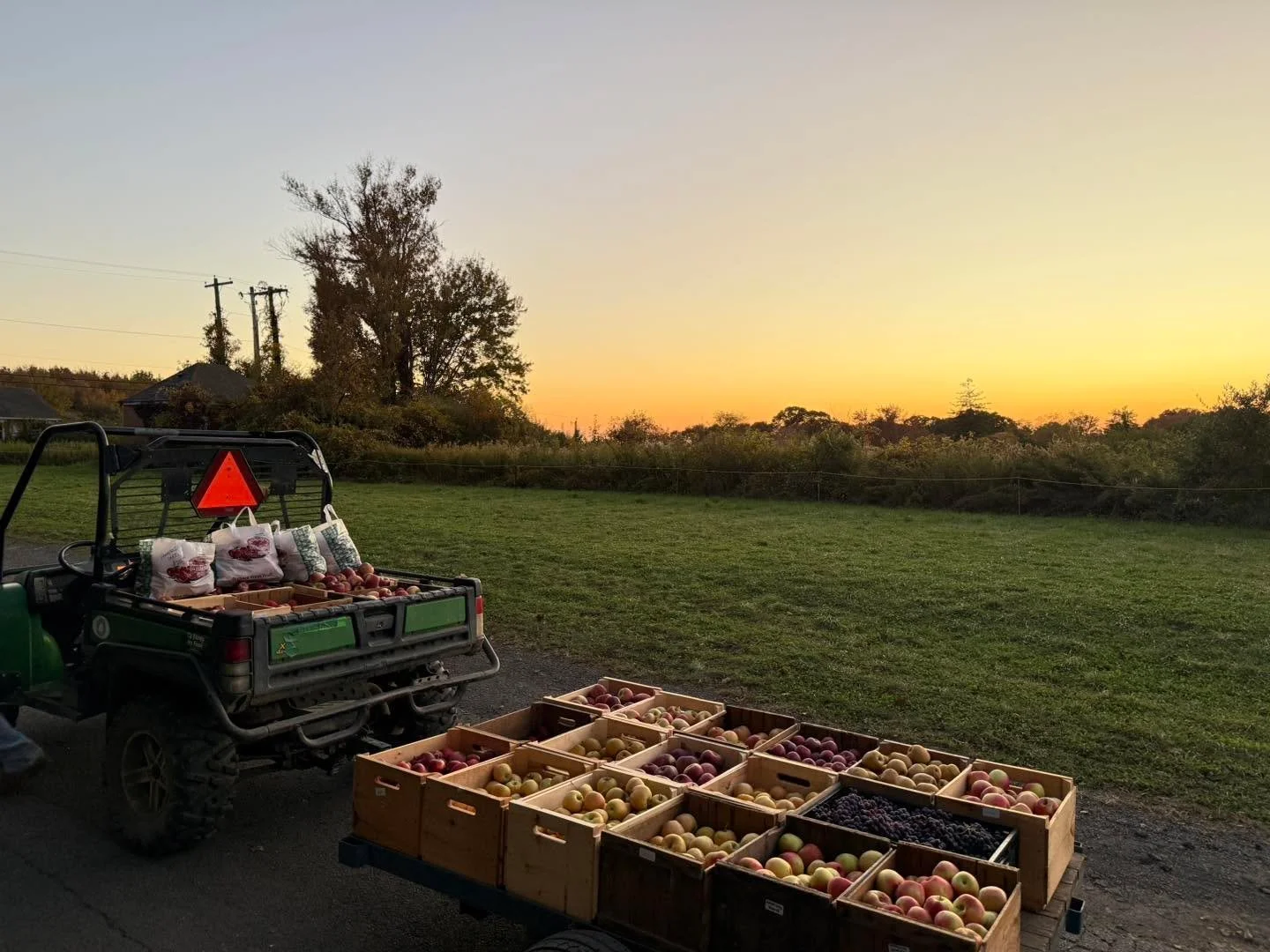 Up late and up early! 🍎💎

Behind every beautiful display of Hidden Gem apples are long days, early mornings, and a whole lot of hard work. We're busy harvesting, sorting, and stocking the Farm Stand with the very best gems our orchard has to offer.