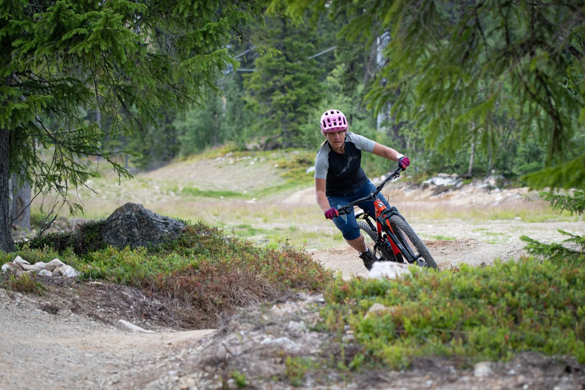 Cykla i Helena Enqvist spår