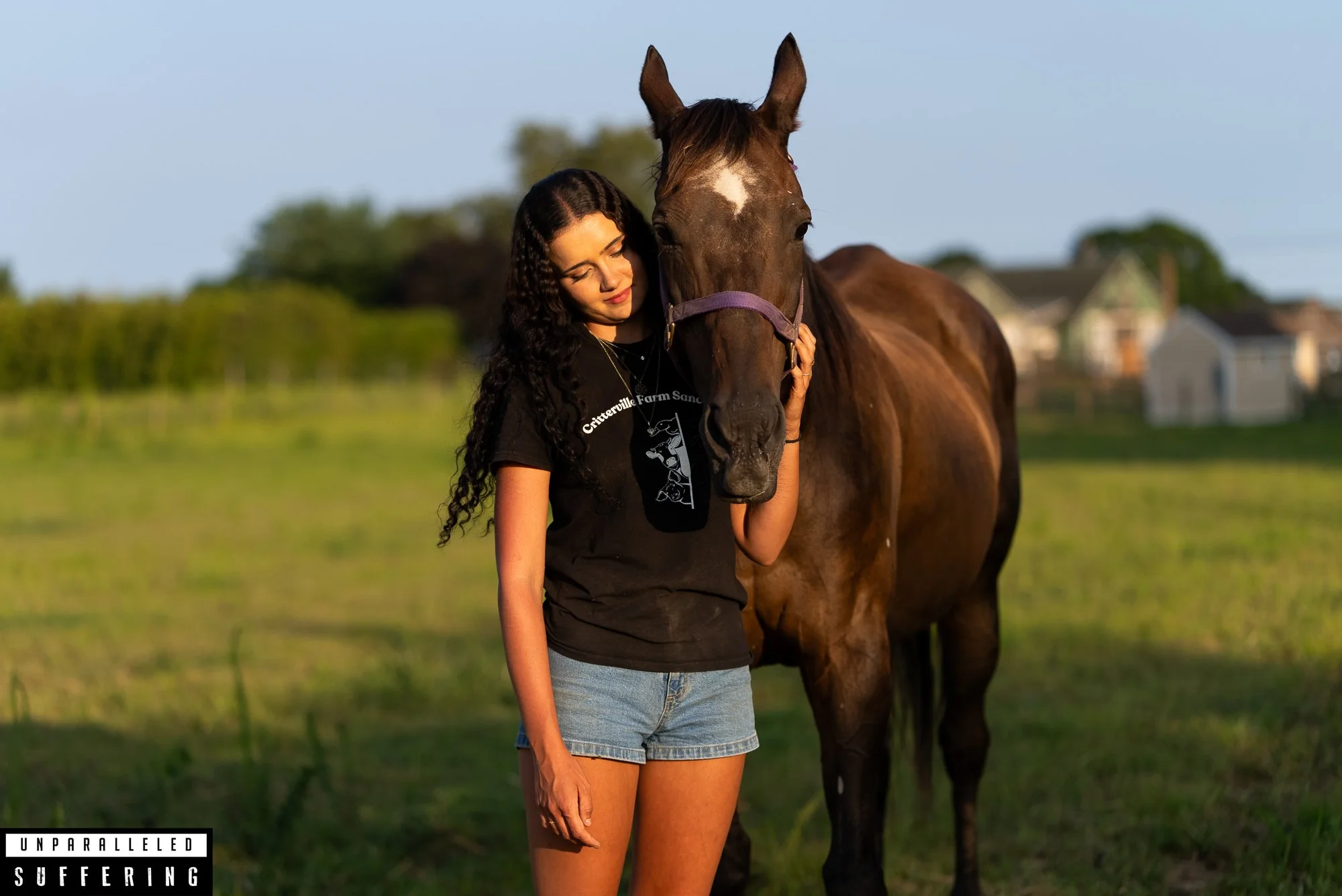 Rescued horse Critterville farm animal sanctuary new york.jpg