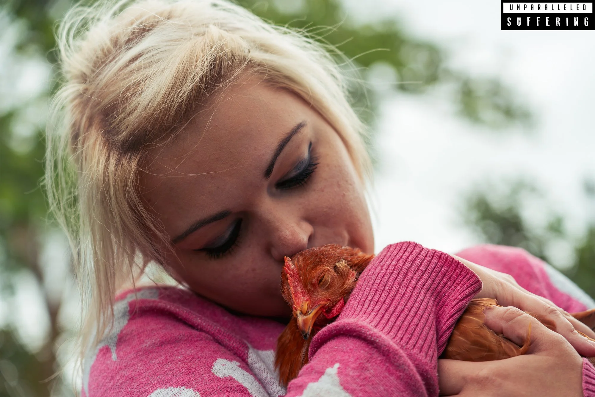 hen chicken animal rescue 