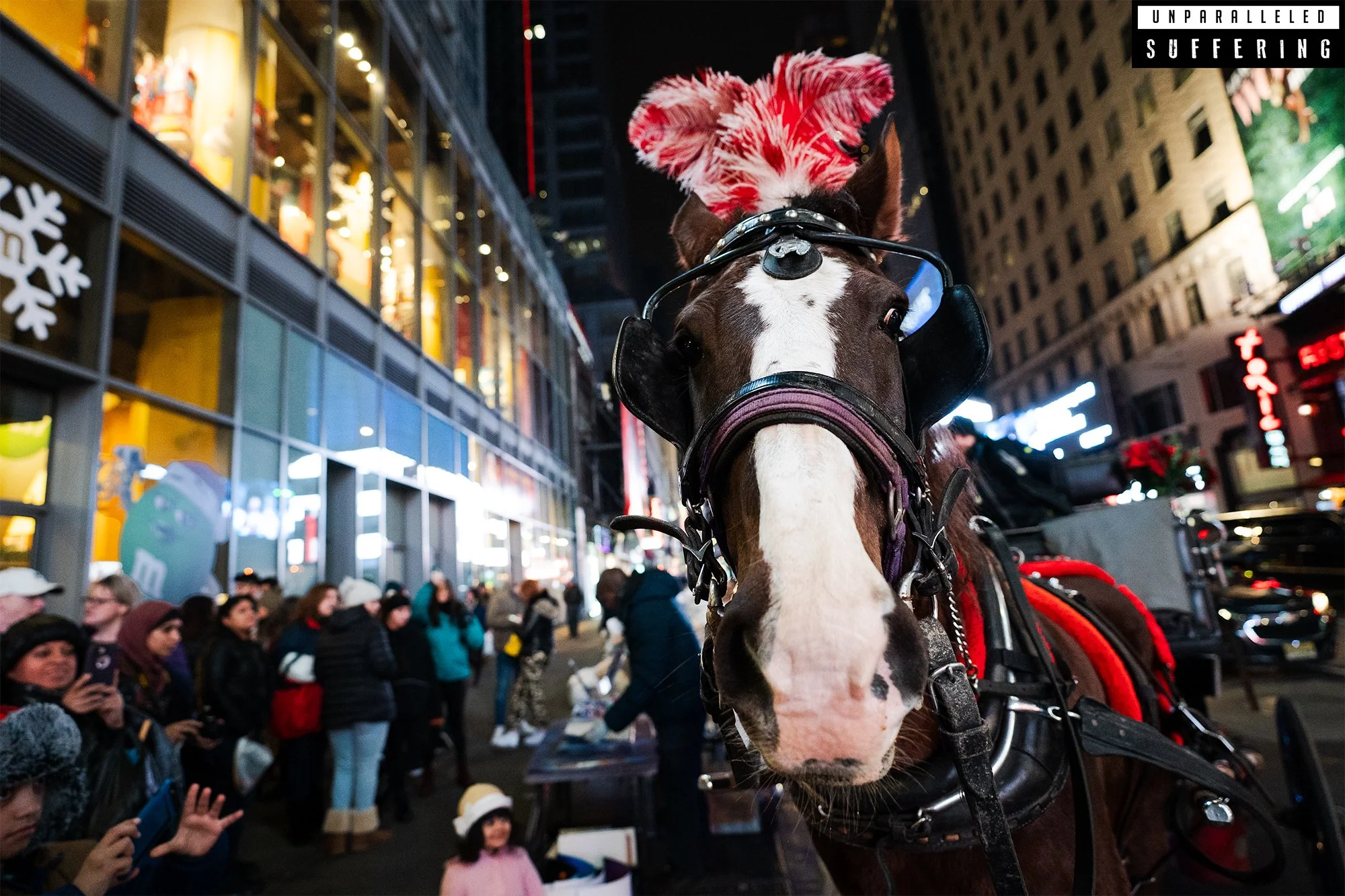 Horse Drawn Carriage NYC Times Square Night 1.jpg