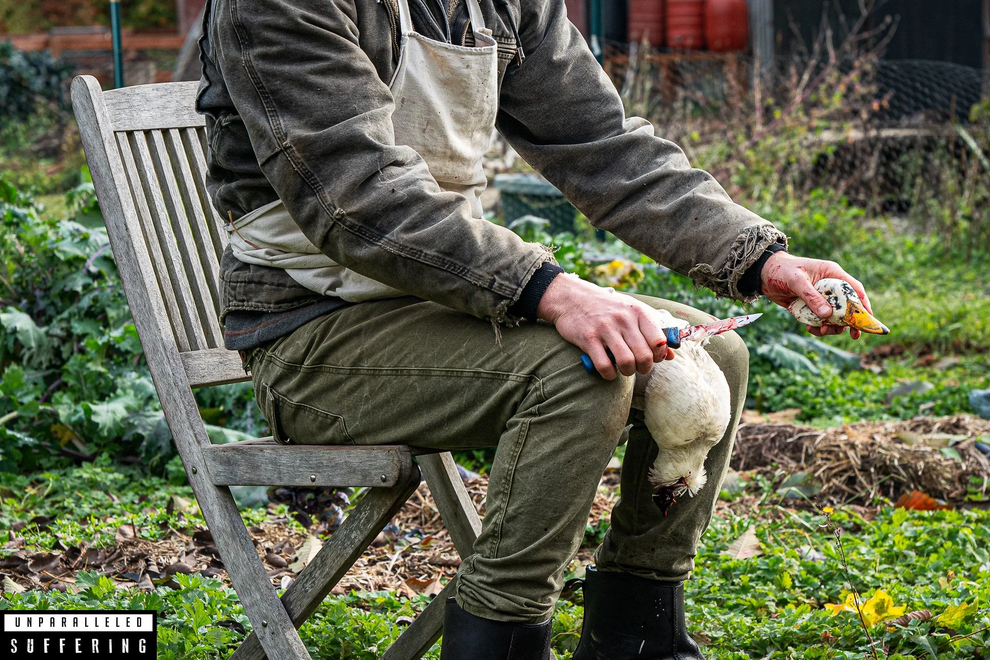 Small Farm Pasture Raised Duck Slaughter and Processing 1-1.jpg