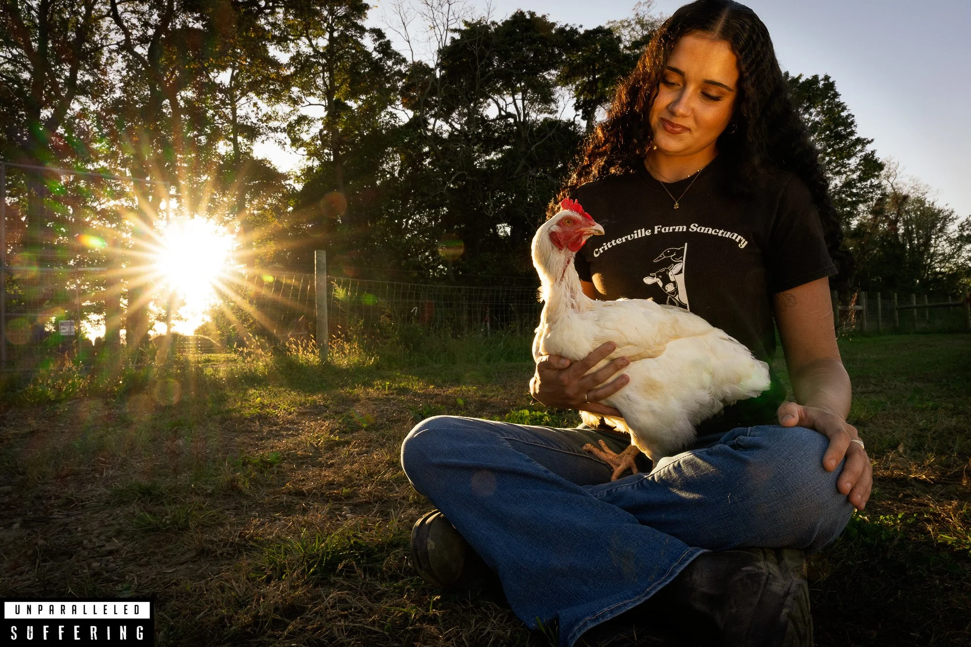 Critterville Farm Sanctuary Chicken Kaporos Survivor New York-1.jpg